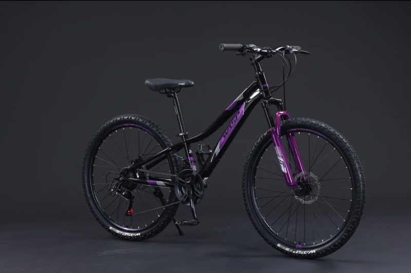 Велосипед скоростной BLACK WASP (M) REGY 26" рама 11 сталь  21s W187 BLACK VIOLET