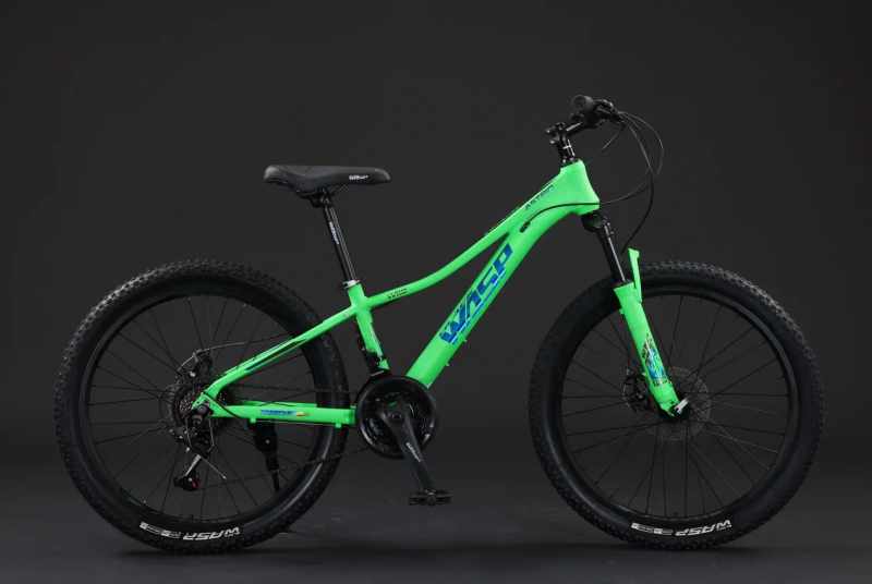 Велосипед скоростной BLACK WASP (M) ASTRID 24 21s TY21 GREEN 