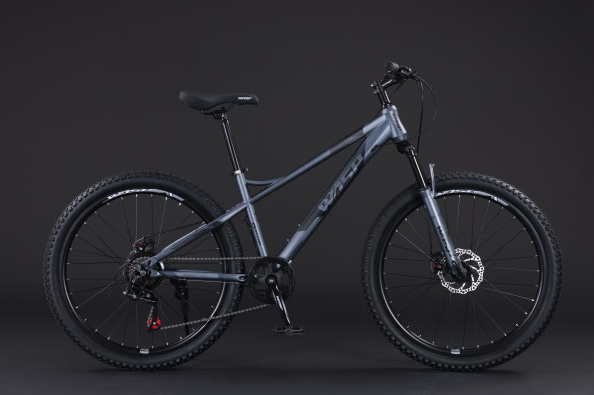 Велосипед скоростной BLACK WASP (M) 26" C4  plus сталь  W50 DARK GRAY