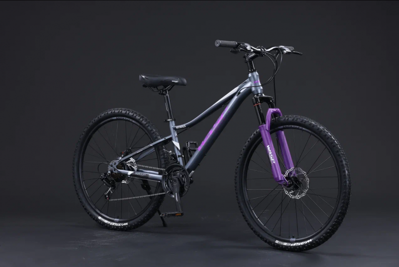 Велосипед скоростной BLACK WASP (M) INTENCE 26 21s рама 13; сталь GRAY  VIOLET