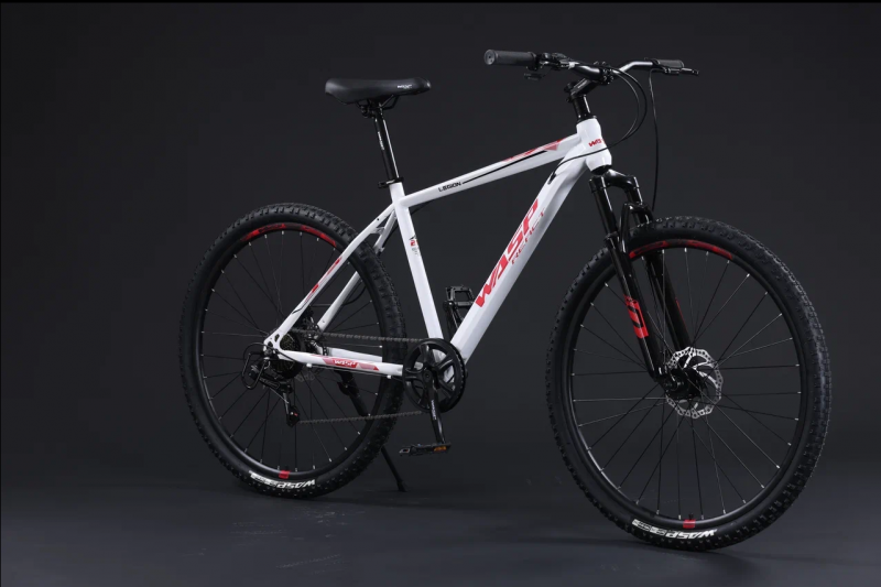 Велосипед скоростной BLACK WASP (M) Legion 29" рама 19 сталь 7s W192 WHITE BLACK