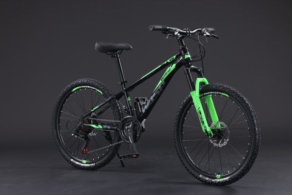 Велосипед скоростной BLACK WASP (M) UNIT 24 21s  TY21 NIGHT BLUE GREEN