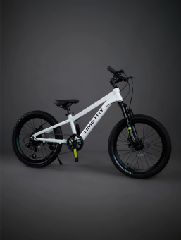 Велосипед скоростной Time Try 20" TT414 7s  рама алюминий Белый