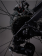 2026-07-19_13-30-05 2026-07-19_13-30-05