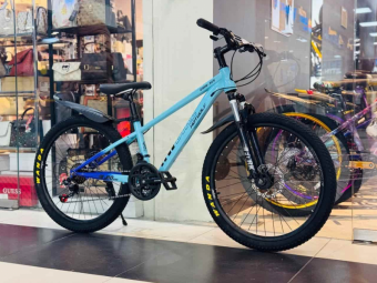 Велосипед скоростной Hot Wolf 24", 24HW 309 рама 12.2" сталь 14кг Зелёный