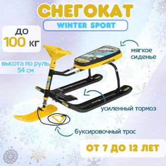 Снегокат «Тимка спорт 1» ТС1/WS принт сиденья: winter sport (черный каркас)
