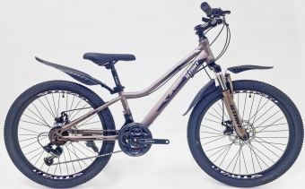 Велосипед скоростной(M) 24" STANT MD400 12", 21 скорость серо-коричневый