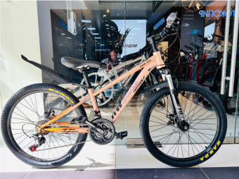 Велосипед скоростной Hot Wolf 24", 24HW 309 рама 12.2" сталь 14кг Оранжевый