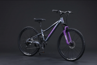 Велосипед скоростной BLACK WASP (M) INTENCE 26 21s рама 13; сталь GRAY  VIOLET