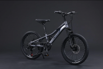 Велосипед скоростной BLACK WASP (M) REGY 20 7s SILVER-BLACK
