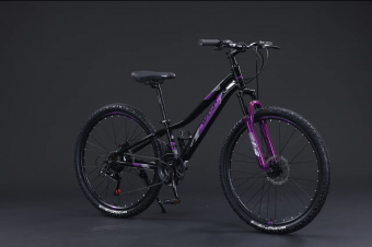 Велосипед скоростной BLACK WASP (M) REGY 26" рама 11 сталь  21s W187 BLACK VIOLET