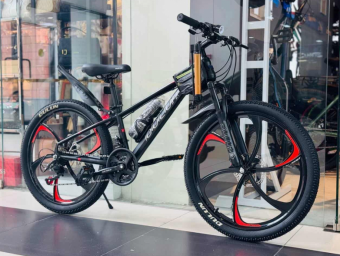 Велосипед скоростной Dulun 24" 24DL-TK300 рама 15 сталь 15кг Светлый Серый