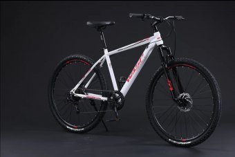 Велосипед скоростной BLACK WASP (M) Legion 29" рама 19 сталь 7s W192 WHITE BLACK